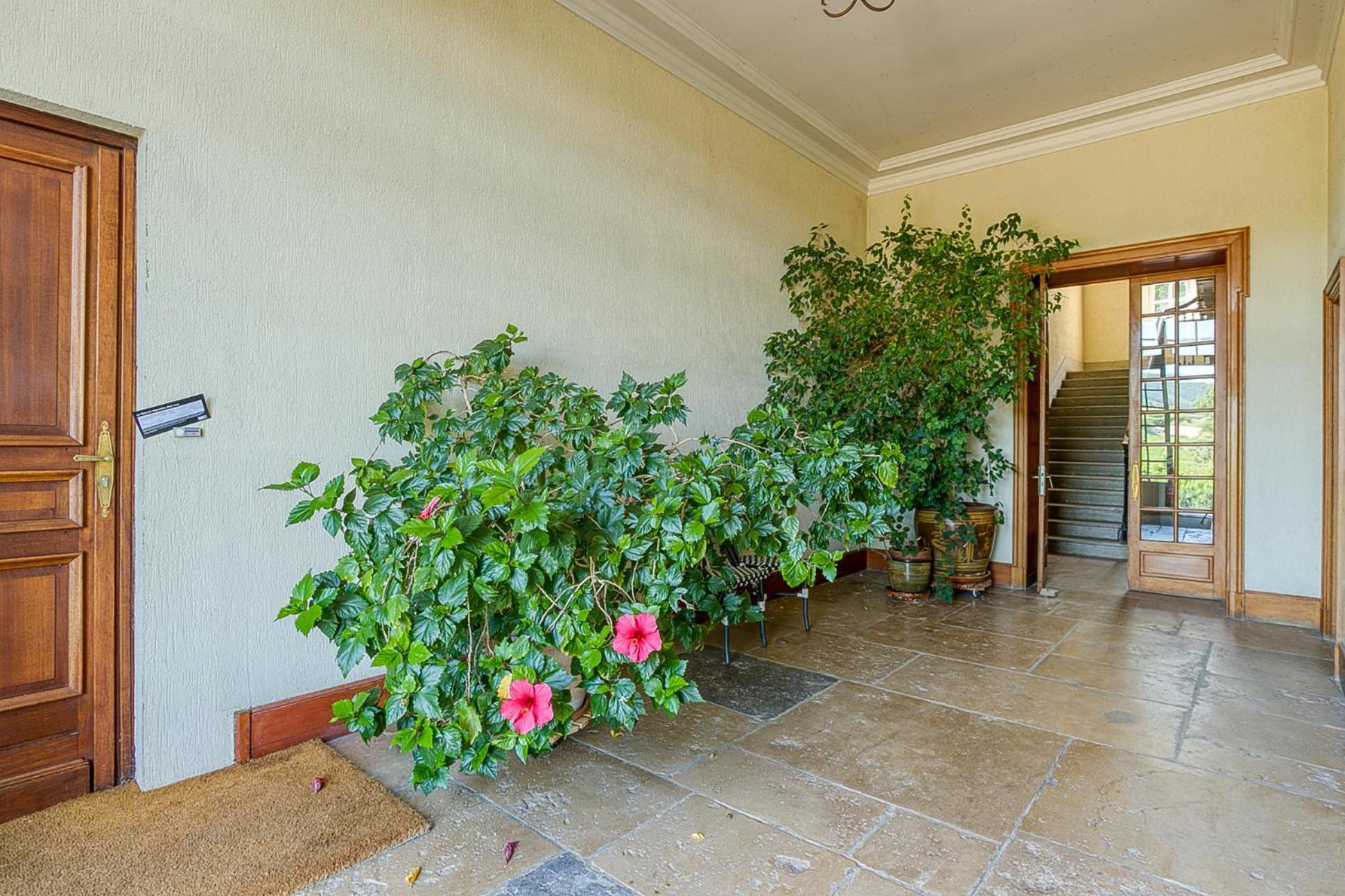 Sejourner Au Chateau De La Roue Grand Appartement リシュー エクステリア 写真