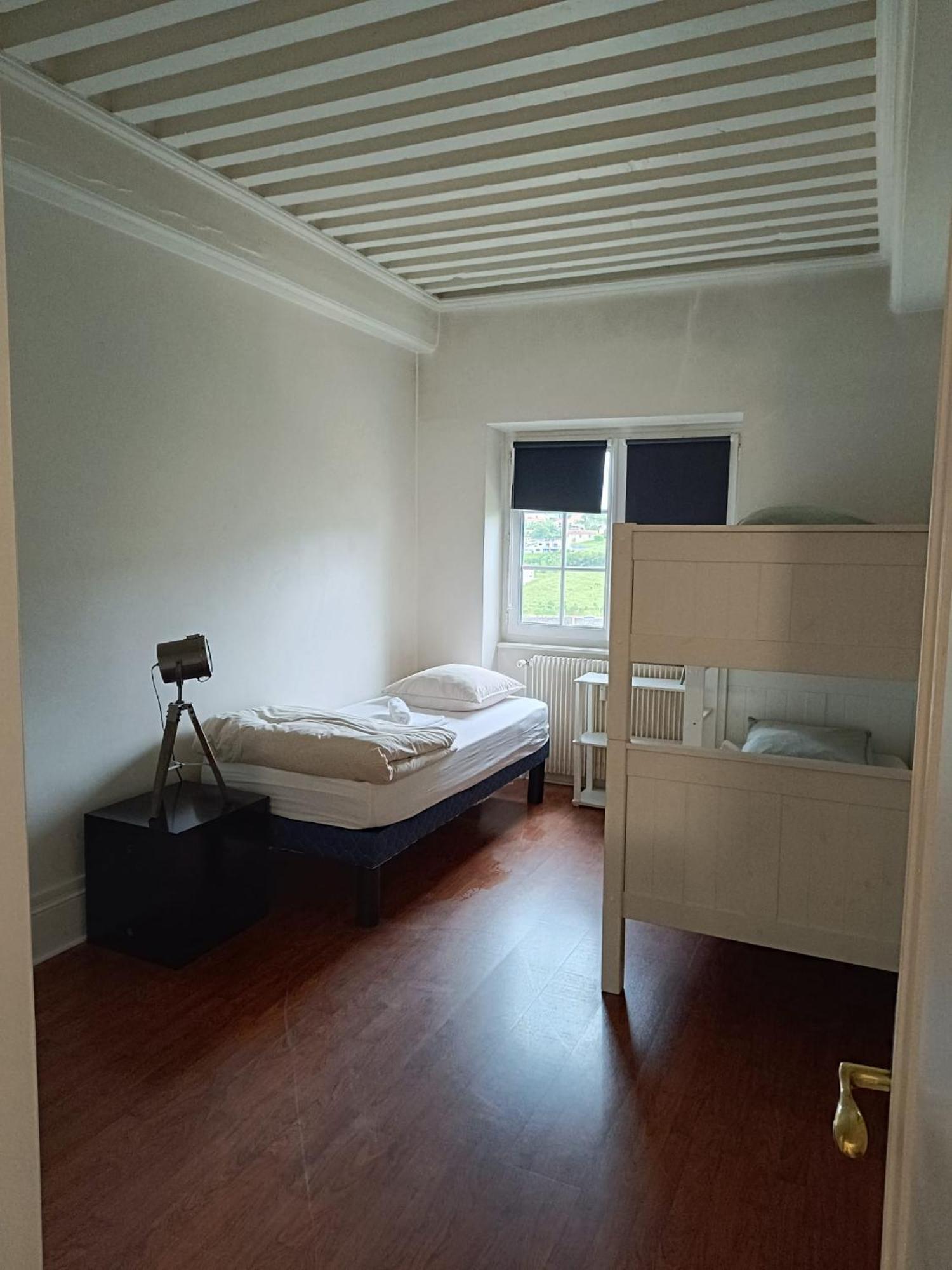 Sejourner Au Chateau De La Roue Grand Appartement リシュー エクステリア 写真